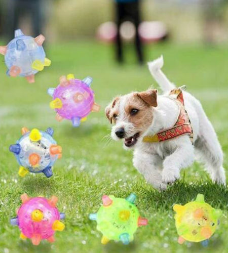 Pawactive Jumping Activation Ball – Flashing Light & Sound Interactive Toy for Dogs