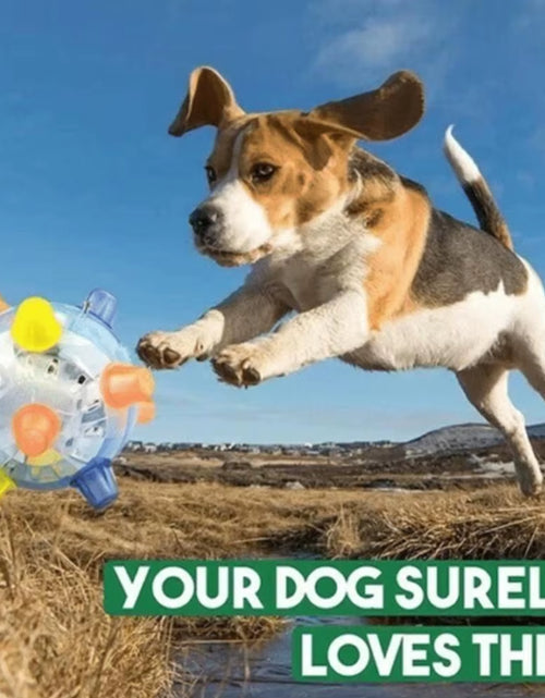 Load image into Gallery viewer, Pawactive Jumping Activation Ball – Flashing Light &amp; Sound Interactive Toy for Dogs
