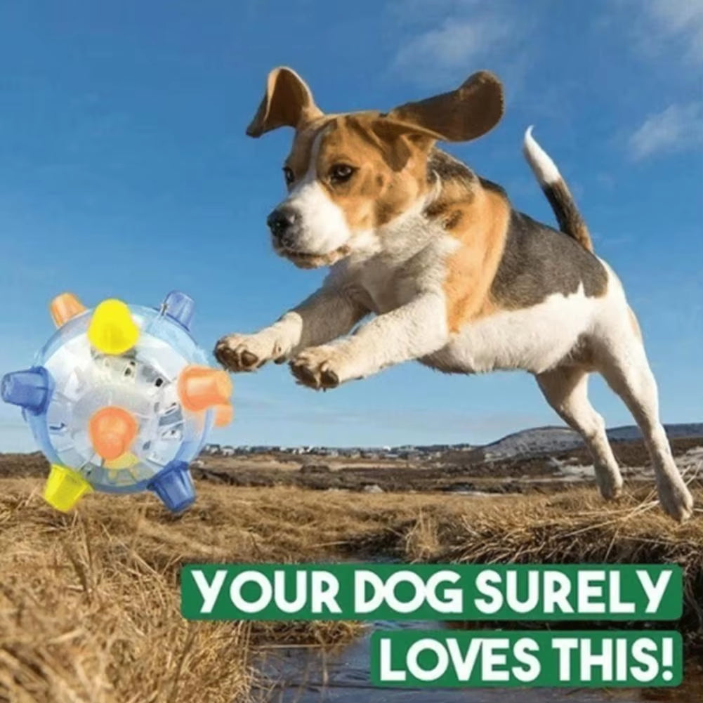 Pawactive Jumping Activation Ball – Flashing Light & Sound Interactive Toy for Dogs