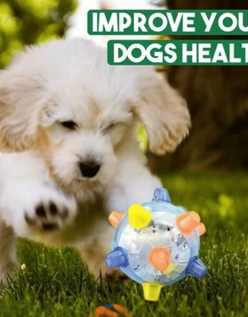 Load image into Gallery viewer, Pawactive Jumping Activation Ball – Flashing Light &amp; Sound Interactive Toy for Dogs
