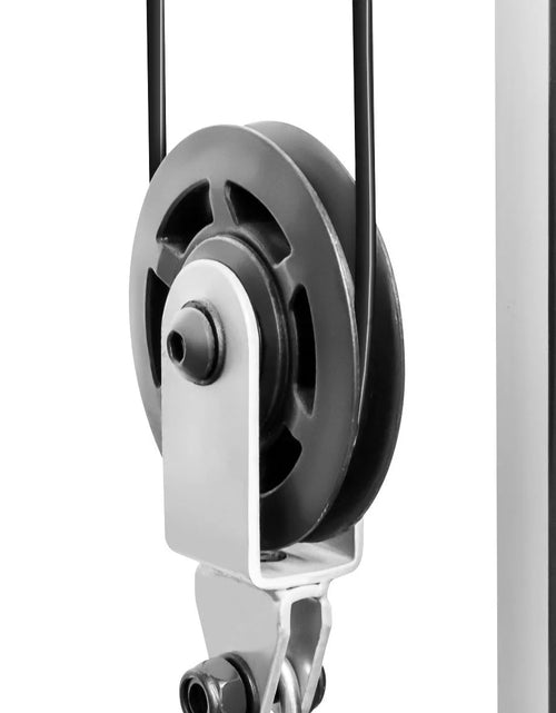 Load image into Gallery viewer, Diamond Elite Olympic Smith Cage Machine, Plate Loaded Home Gym Total Body Workout Machine (MD-9010G)
